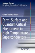 Fermi Surface and Quantum Critical Phenomena of High-Temperature Superconductors