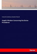 Angelic Wisdom Concerning the Divine Providence