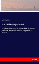 Practical orange culture