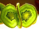 Kiwi - 1.000 Teile (Puzzle)