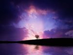 Landschaft - 1.000 Teile (Puzzle)