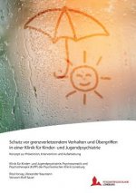 Schutz vor grenzverletzendem Verhalten und UEbergriffen in einer Klinik fur Kinder- und Jugendpsychiatrie
