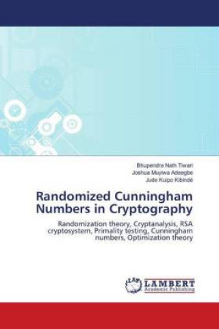 Randomized Cunningham Numbers in Cryptography