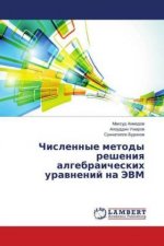 Chislennye metody resheniya algebraicheskih uravnenij na JeVM
