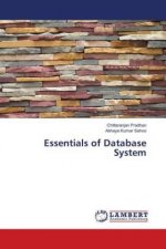 Essentials of Database System