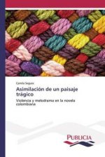 Asimilacion de un paisaje tragico