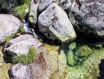 Natur - 500 Teile (Puzzle)