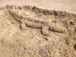Krokodil im Sand - 1.000 Teile (Puzzle)