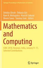 Mathematics and Computing