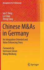 Chinese M&As in Germany