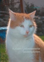 Katzen