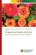 Irrigacao da Gerbera de Corte