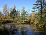 Weiher - 500 Teile (Puzzle)