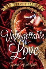 The Velvet Elite: Unforgettable Love