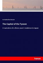 The Capital of the Tycoon