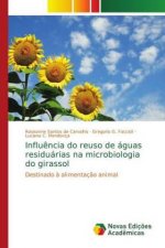 Influencia do reuso de aguas residuarias na microbiologia do girassol