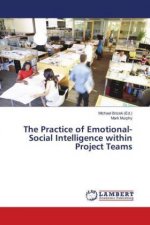 Practice of Emotional-Social Intelligence within Project Teams