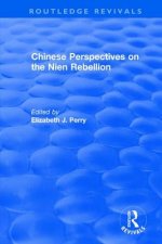 Revival: Chinese Perspectives on the Nien Rebellion (1981)