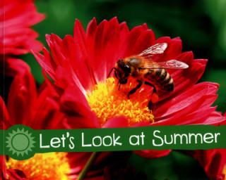 Let's Look at Summer