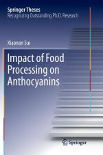 Impact of Food Processing on Anthocyanins
