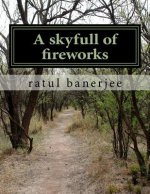 A skyfull of fireworks