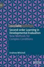 Second-order Learning in Developmental Evaluation