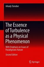 Essence of Turbulence as a Physical Phenomenon
