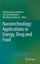 Nanotechnology: Applications in Energy, Drug and Food