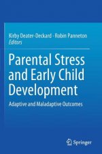 Parental Stress and Early Child Development