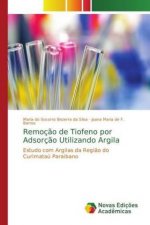 Remocao de Tiofeno por Adsorcao Utilizando Argila