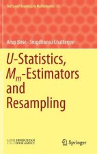 U-Statistics, Mm-Estimators and Resampling