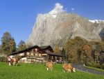 Grindelwald - 1.000 Teile (Puzzle)