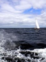 Segeln - 500 Teile (Puzzle)