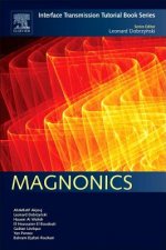 Magnonics