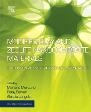 Modified Clay and Zeolite Nanocomposite Materials