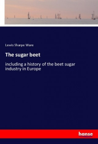 The sugar beet