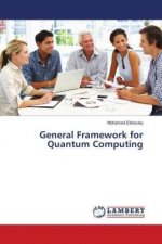 General Framework for Quantum Computing