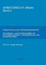 ARBEITSRECHT effektiv Band 2
