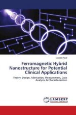 Ferromagnetic Hybrid Nanostructure for Potential Clinical Applications