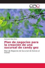 Plan de negocios para la creación de una sucursal de candy gez