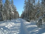 Winterlandschaft - 500 Teile (Puzzle)