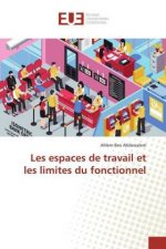 Les espaces de travail et les limites du fonctionnel