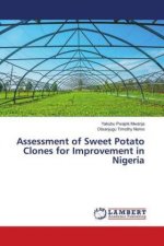Assessment of Sweet Potato Clones for Improvement in Nigeria