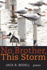 No Brother, This Storm