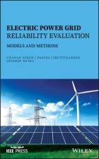 Electric Power Grid Reliability Evaluation - Models and Methods