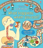 Look Inside What Happens When You Eat