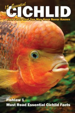 15 Essential Cichlid Fish Facts That You May Have Never Known: Fishlaw1 Must Read Essential Cichlid Facts