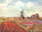 Claude Monet - Tulpen von Holland - 500 Teile (Puzzle)
