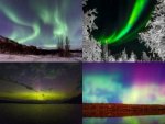 Collage Nordlicht - 1.000 Teile (Puzzle)