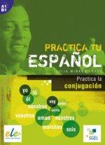 Practica tu espa?ol: Practica la conjugación